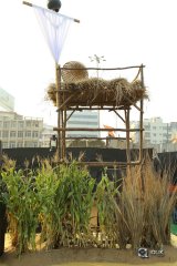 Rangasthalam Movie Pre Release Event Photos